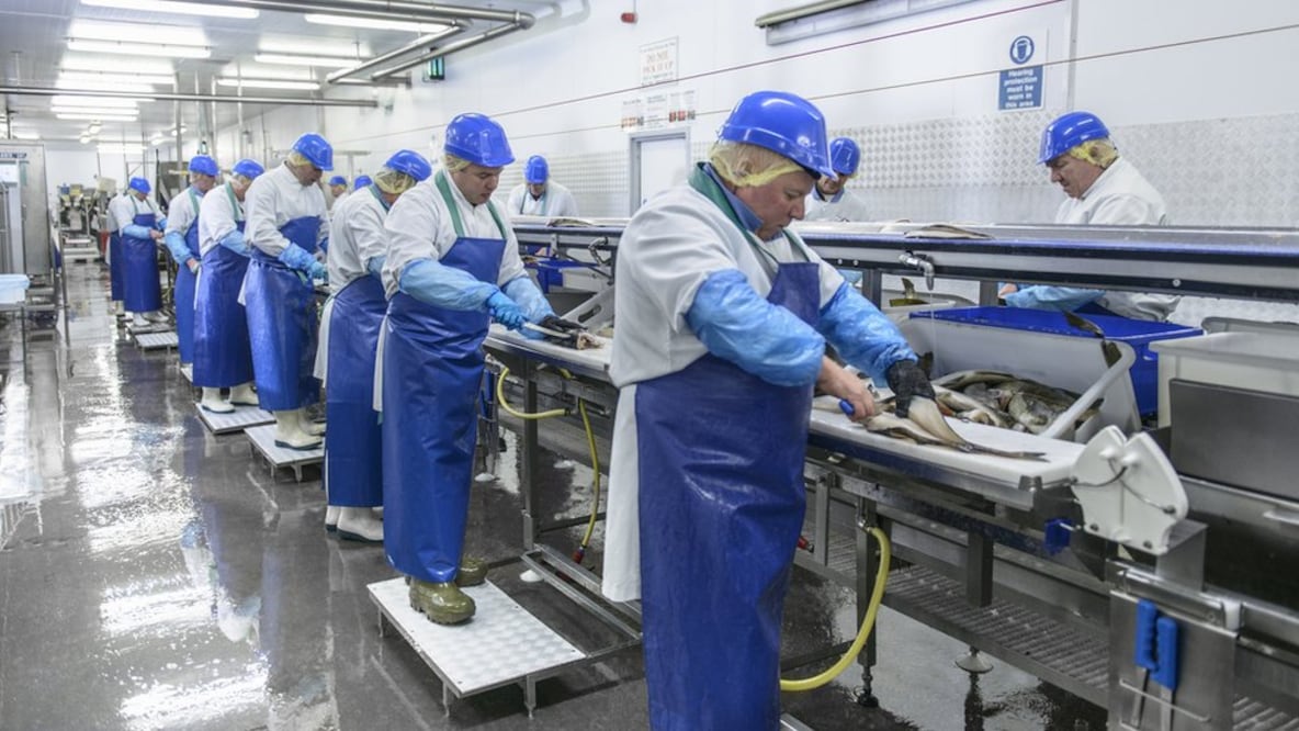 "Existe la idea de que todo el tiempo se produce algún tipo de progreso tecnológico. Eso es una fantasía"