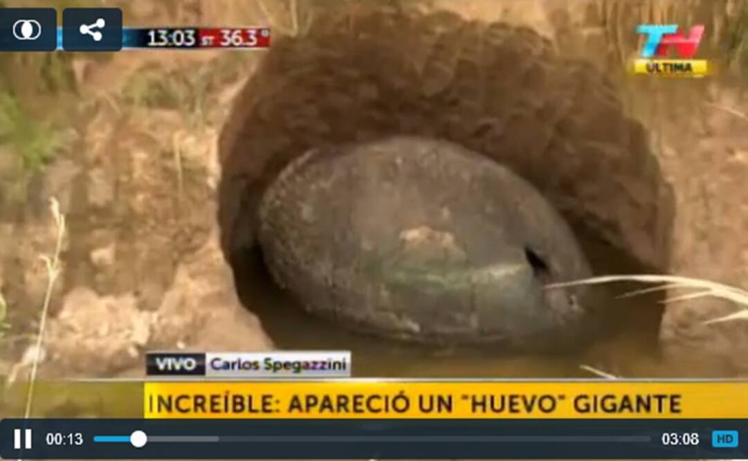 Caparazón con forma de huevo sorprende a Argentina