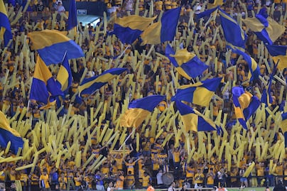 Tigres prepara entrenamiento de despedida previo a la final