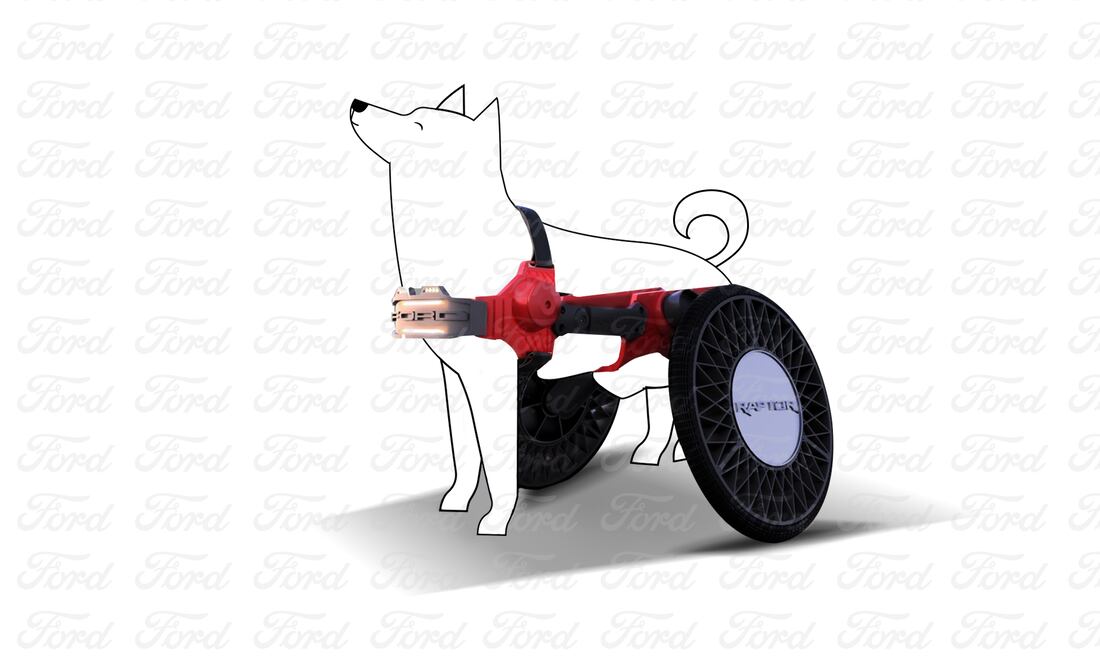 Busca ser una herramienta de apoyo para perritos con discapacidad motriz.