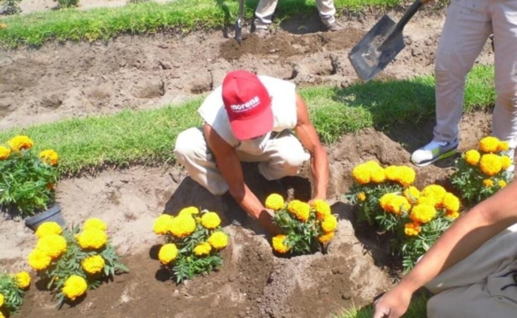 Inicia venta de flores de cempasúchil cultivadas por reos en la CDMX