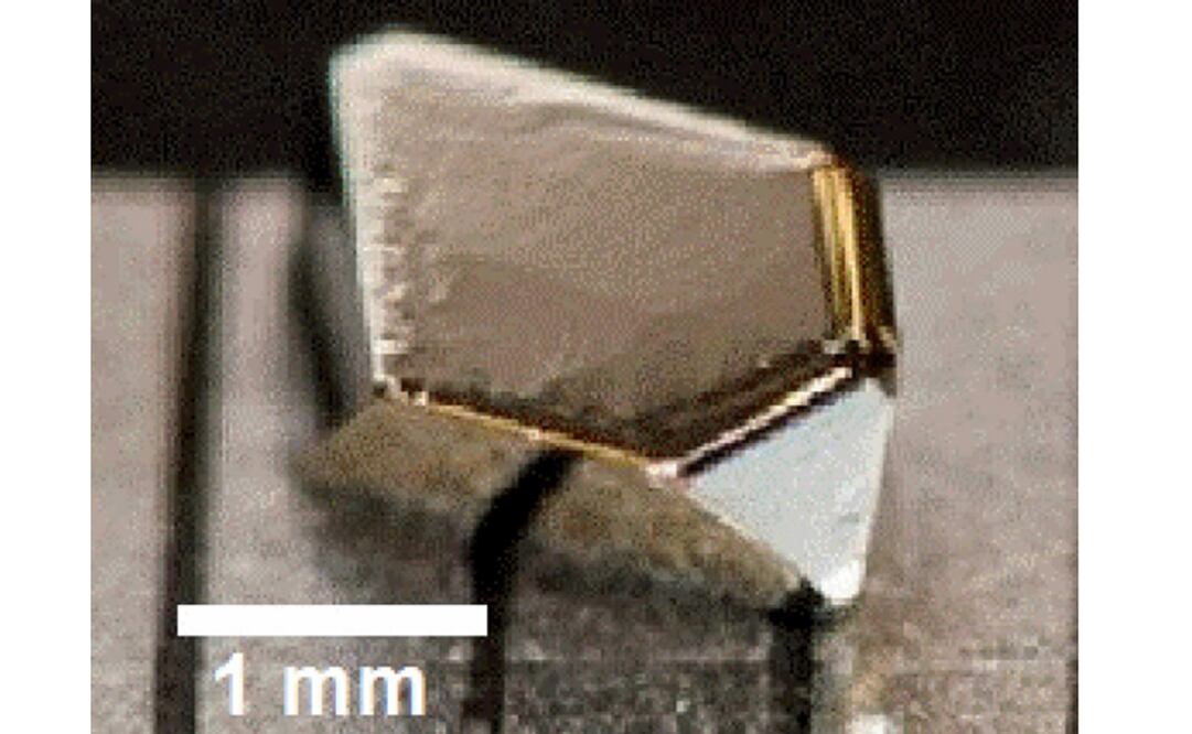 Foto: twin-cities.umn.edu