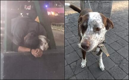 “Regresen a Tito”: roban perrito a joven en situación de calle enfrente de Fórum Buenavista