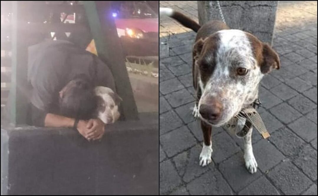 Fotos: redes sociales