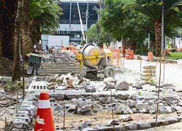 Piden a Müller explicar ingresos por autorizar derribo de árboles