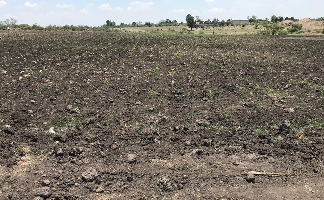 Foto: Archivo EL UNIVERSAL