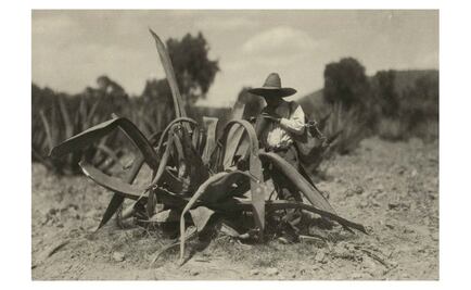 El regreso del Pulque