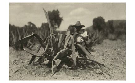El regreso del Pulque