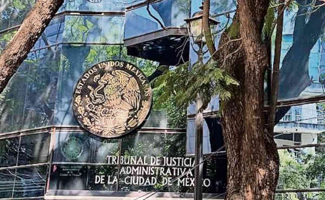 El TJA llevará a la Magdalena Contreras el programa Tribunal en tu Alcaldía. Foto: Especial