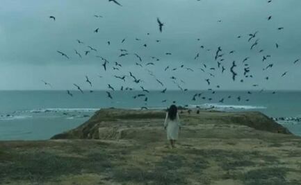 ¿De qué trata "La piel pulpo?, cinta que no se rodó en una isla como marca la película?