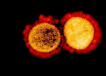 Variante británica del coronavirus es 45 % más contagiosa que la original: estudio