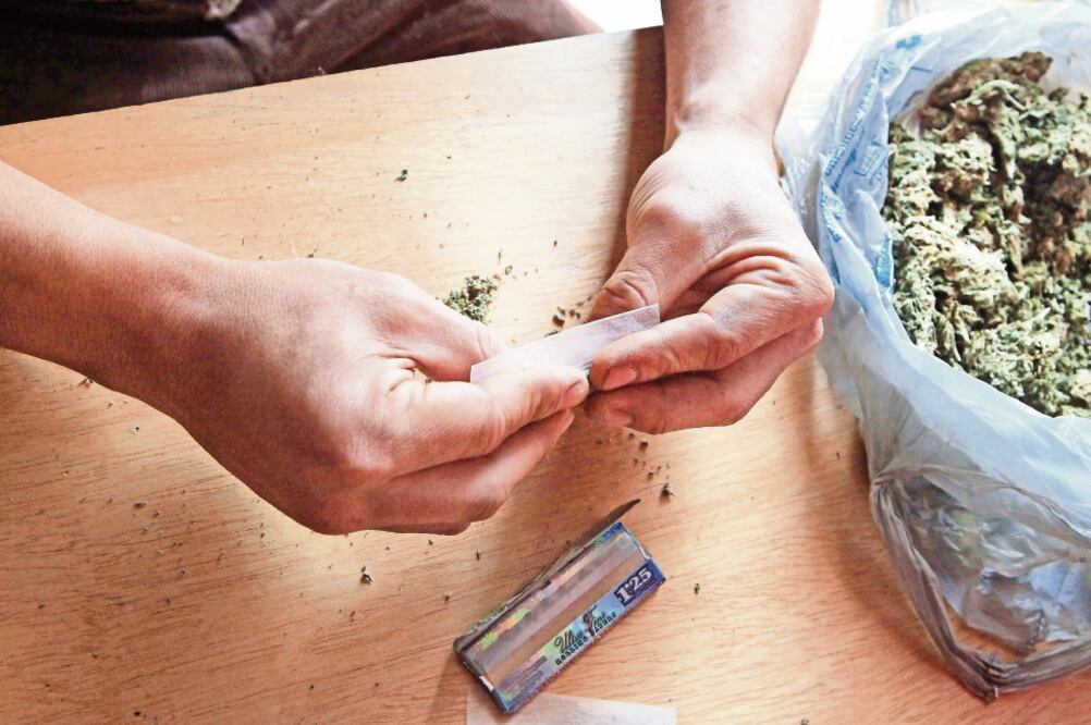 Los permisos que la Cofepris deberá entregar son referentes al cultivo, posesión, transporte y consumo de marihuana para cuatro personas (ARCHIVO EL UNIVERSAL)