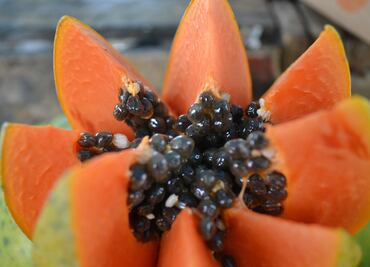 Por qué es bueno comer papaya como colación