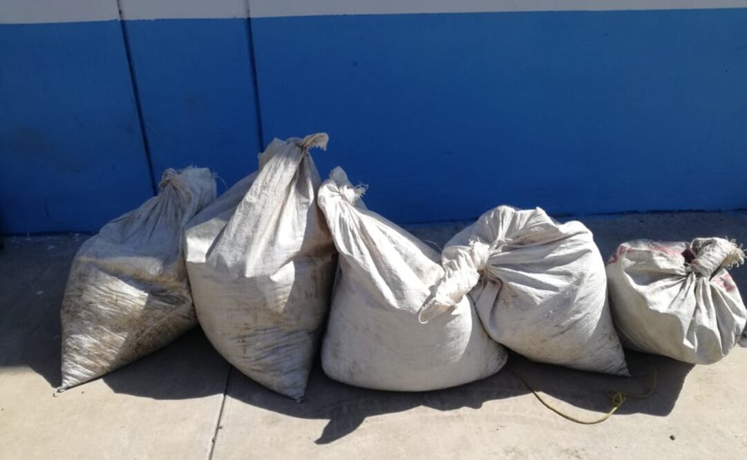 Decomiso de presunta droga en Navolato. Foto: Especial