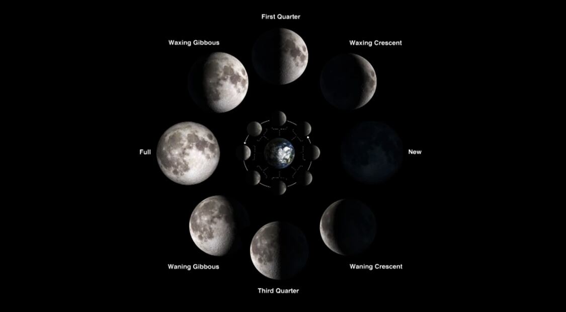 La luna atraviesa diferentes fases a lo largo del mes.
Imagen: NASA