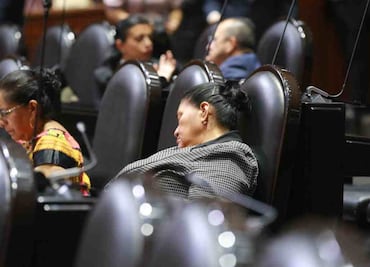 Diputada de Morena se duerme en sesión de San Lázaro; legisladores discutían reforma sobre protección de animales