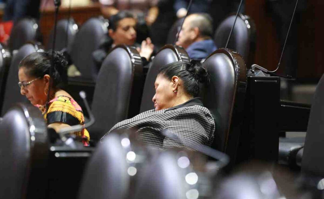 Diputada morenista Herminia López Santiago en discusión en la Cámara de Diputados. Foto: Especial