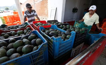 México, en el lugar 12 de exportación de alimentos frescos