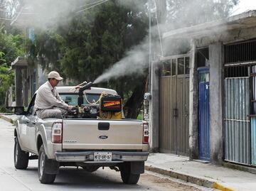 Mantienen acciones de prevención contra el dengue en Edomex