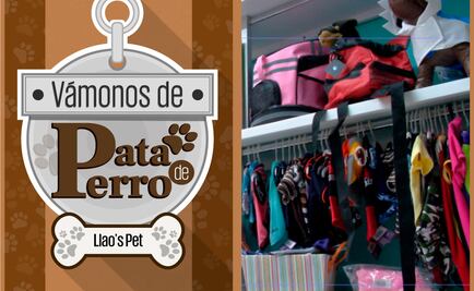 Vámonos de Pata de Perro. ¡Aguas con las enfermedades!