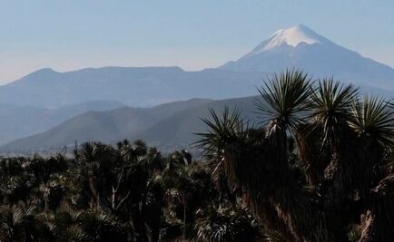 Veracruz decreta tres nuevas áreas naturales protegidas