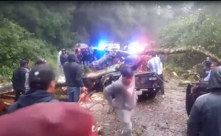 Muere una pareja y dos niños lesionados por caída de árbol sobre una camioneta en Hidalgo