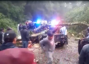 Muere una pareja y dos niños lesionados por caída de árbol sobre una camioneta en Hidalgo