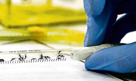 Crean mapa global de virus