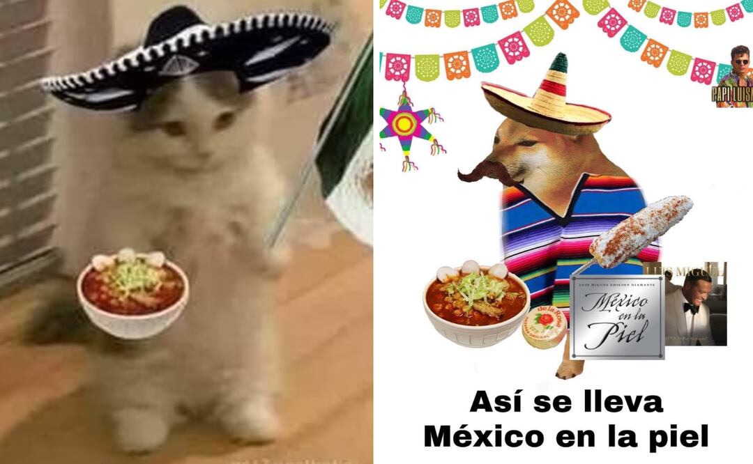 Mientras el país se alista para celebrar y conmemorar, las redes sociales se llenan de memes que no solo divierten, sino que también mantienen viva la tradición del humor mexicano. Foto: Captura de pantalla