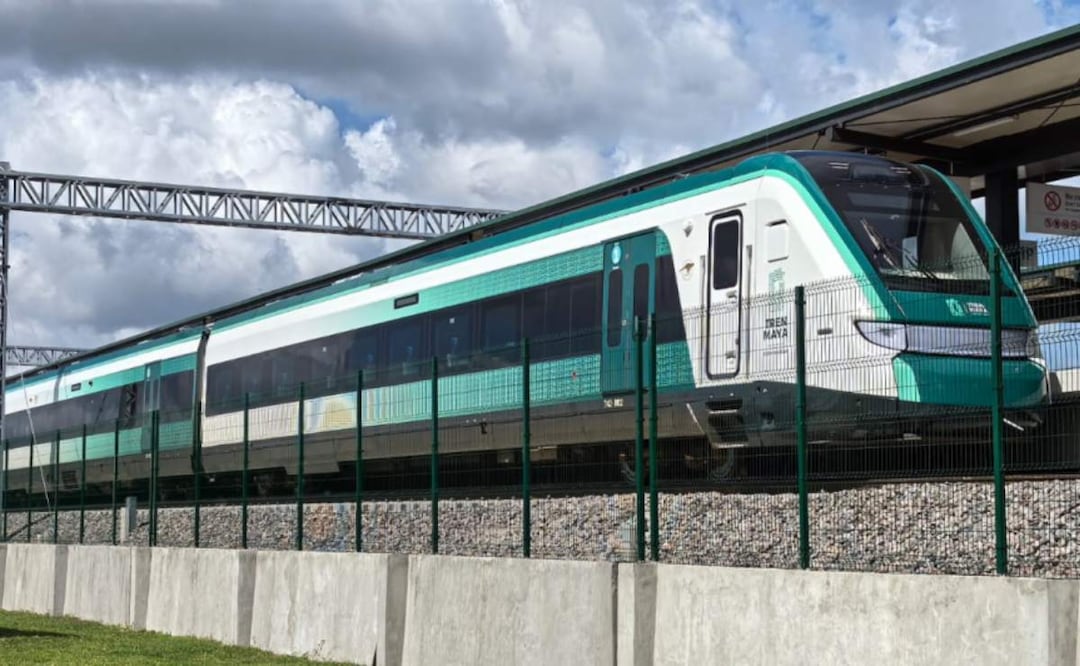 El movimiento Sélvame del Tren busca compensar los daños ambientales del Tramo 5 sur del Tren Maya en Quintana Roo (04/04/2025). Foto: Adriana Varillas / EL UNIVERSAL