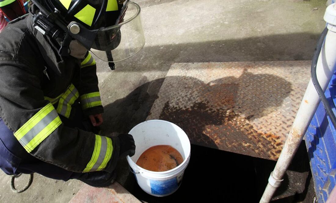 Foto: Jorge Alvarado. EL UNIVERSAL