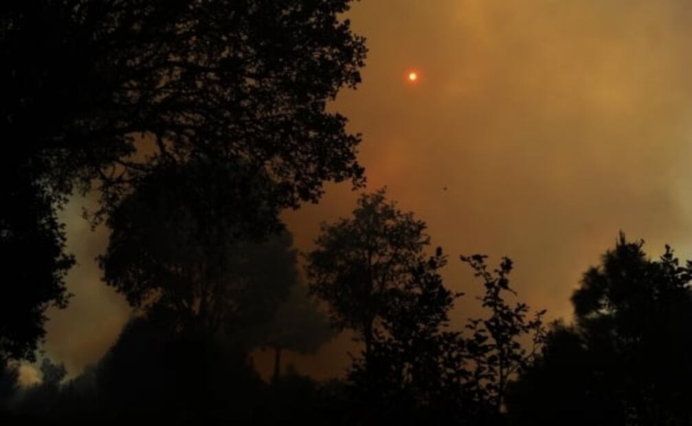 Incendio forestal en Oaxaca arrasa con 10 viviendas; hay 4 activos en el estado