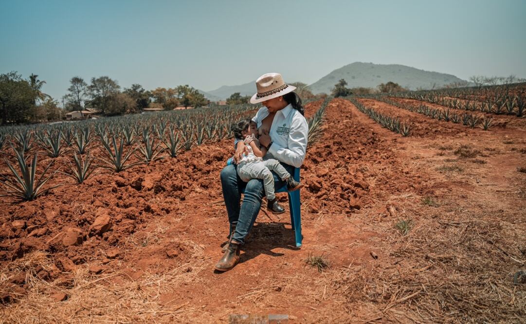 La cinta, dirigida por la portuguesa Francisca Siza, hace un recorrido desde los tiempos en que el medio del tequila y mezcal era vedado para las mujeres, pasando por burlas y la lucha para ser reconocidas oficialmente. Foto: Cortesia Francisca Siza.