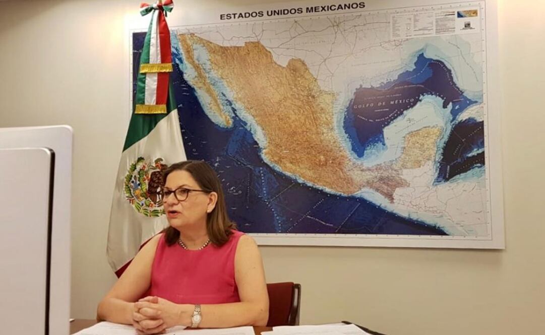 la embajadora en Washington, Martha Bárcena, participó en el encuentro con legisladores. Foto: Twitter @Martha_Barcena