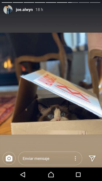 Tiernas fotos revelan que Taylor Swift pasa cuarentena con su novio