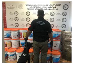 Aseguran 500 kilos de marihuana en empresa de paquetería en Mérida