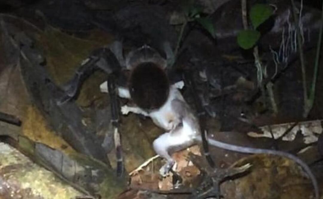 Foto: El Comercio Perú