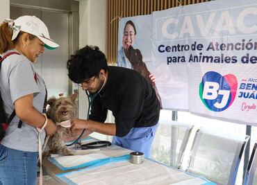 Vacunación antirrábica, revisiones y cortes de uñas gratis; así celebró Benito Juárez el Día Mundial de las Zoonosis