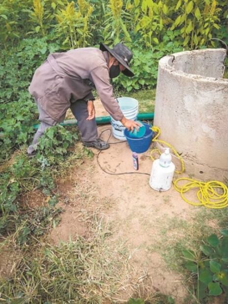 Adaptarse. Covid no paraliza labores agrícolas