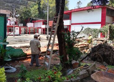 Árbol cae sobre primaria en Gustavo A. Madero; muro colapsa y suspenden clases