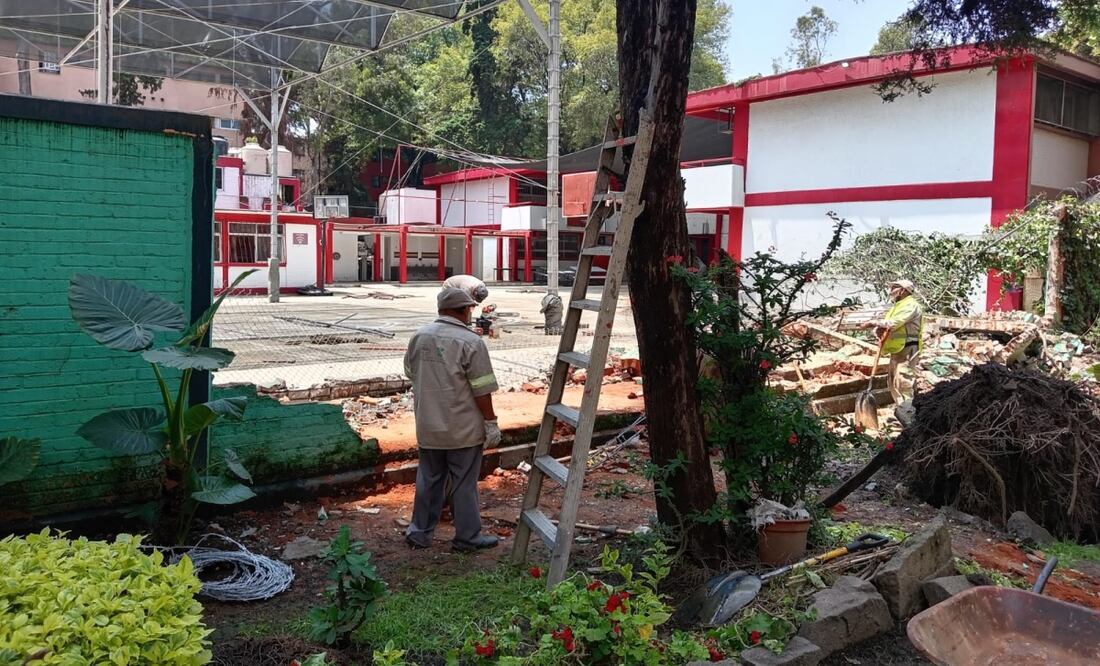 Árbol cae sobre primaria en Gustavo A. Madero; muro colapsa y suspenden clases. Foto: Especial
