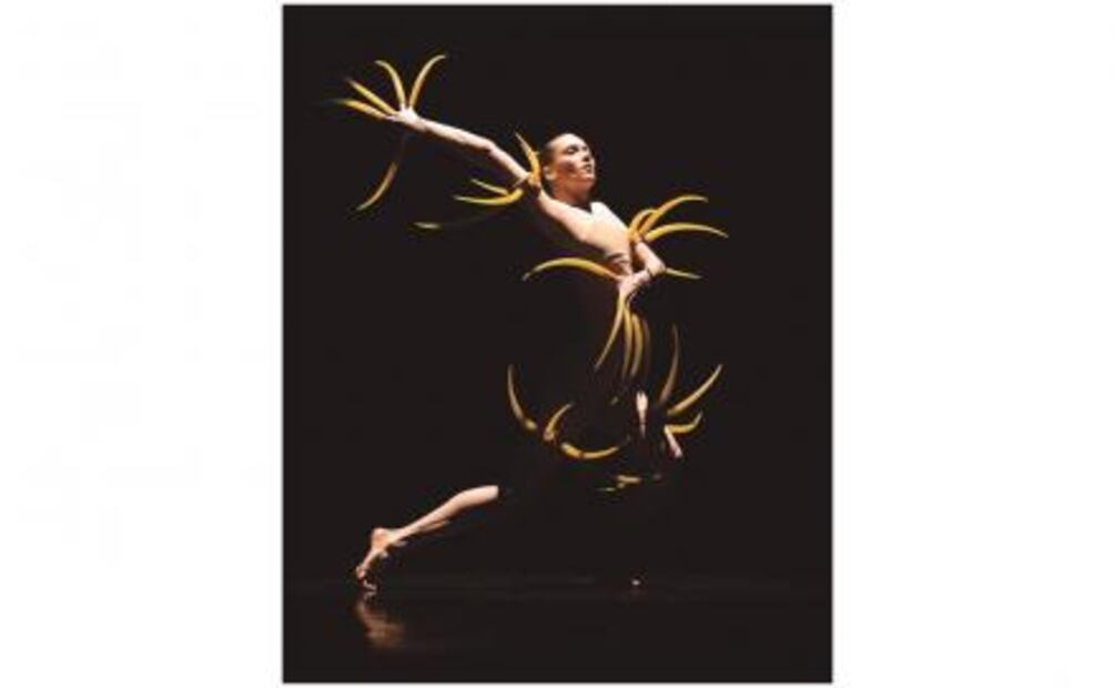 Bosco "El Jardín de las delicias" se llevará a escena