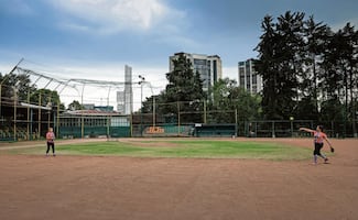 Beisbol, con rostro de mujer