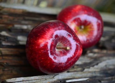 Alimentos que te dan energía, además del café