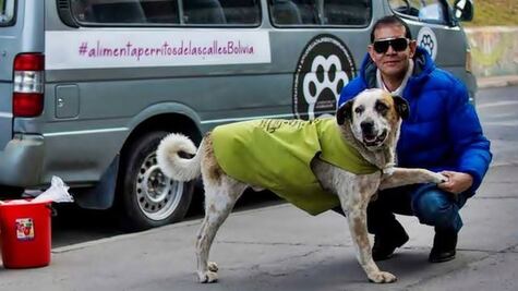 El empresario que dejó su trabajo para alimentar a perros callejeros en Bolivia