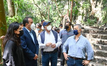 Rehabilitan destino turístico en Cuernavaca con especie única en el mundo