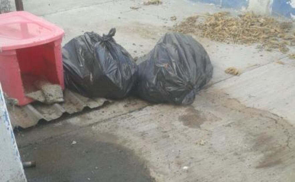 Denuncian maltrato en Centro Canino de Torreón