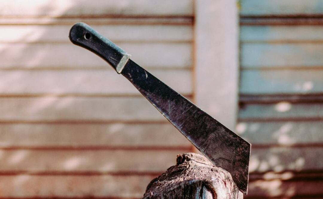 Foto: Pexels/El Universal/ Cayetano N fue vinculado a proceso por matar a un perro a machetazos 