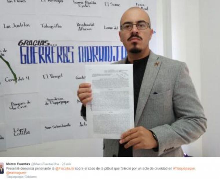 Muere perrita en Tlaquepaque; le tronaron cohete en un ojo