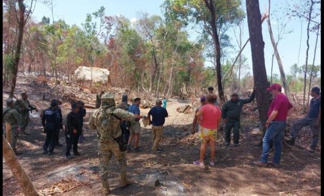 La Reserva de la Biosfera de Balam Kú, hogar de una rica biodiversidad y vestigios mayas, es protegida mediante operativos conjuntos para preservar su ecosistema frente a actividades ilegales. Foto: @LaydaSansores